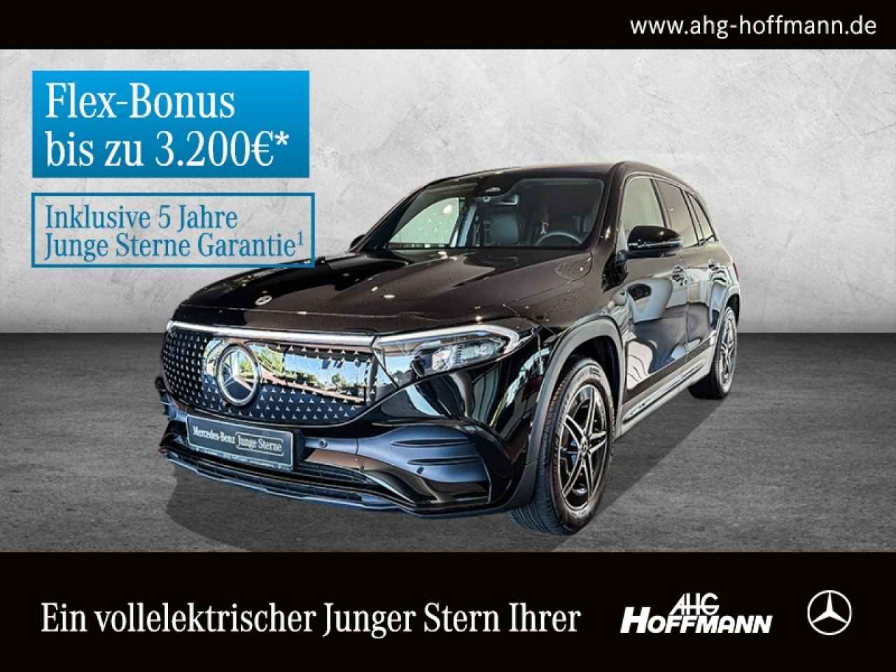 Fahrzeugbild 1 / 17