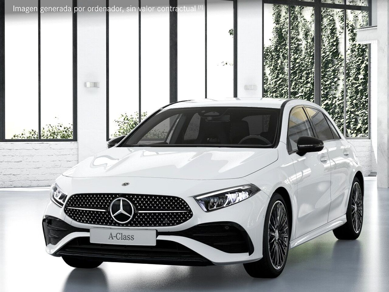 Foto de estudio 1 / 5