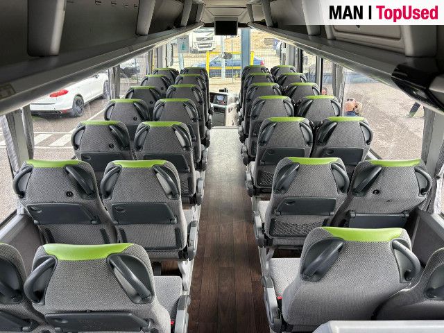 MAN LION'S COACH / R10 22