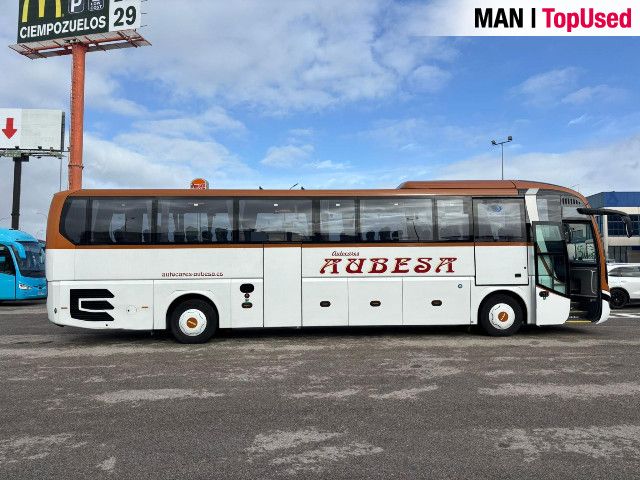 MAN LION'S COACH / R10 8