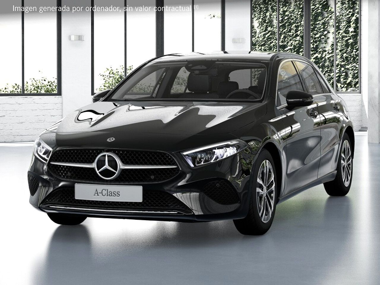 Foto de estudio 1 / 5