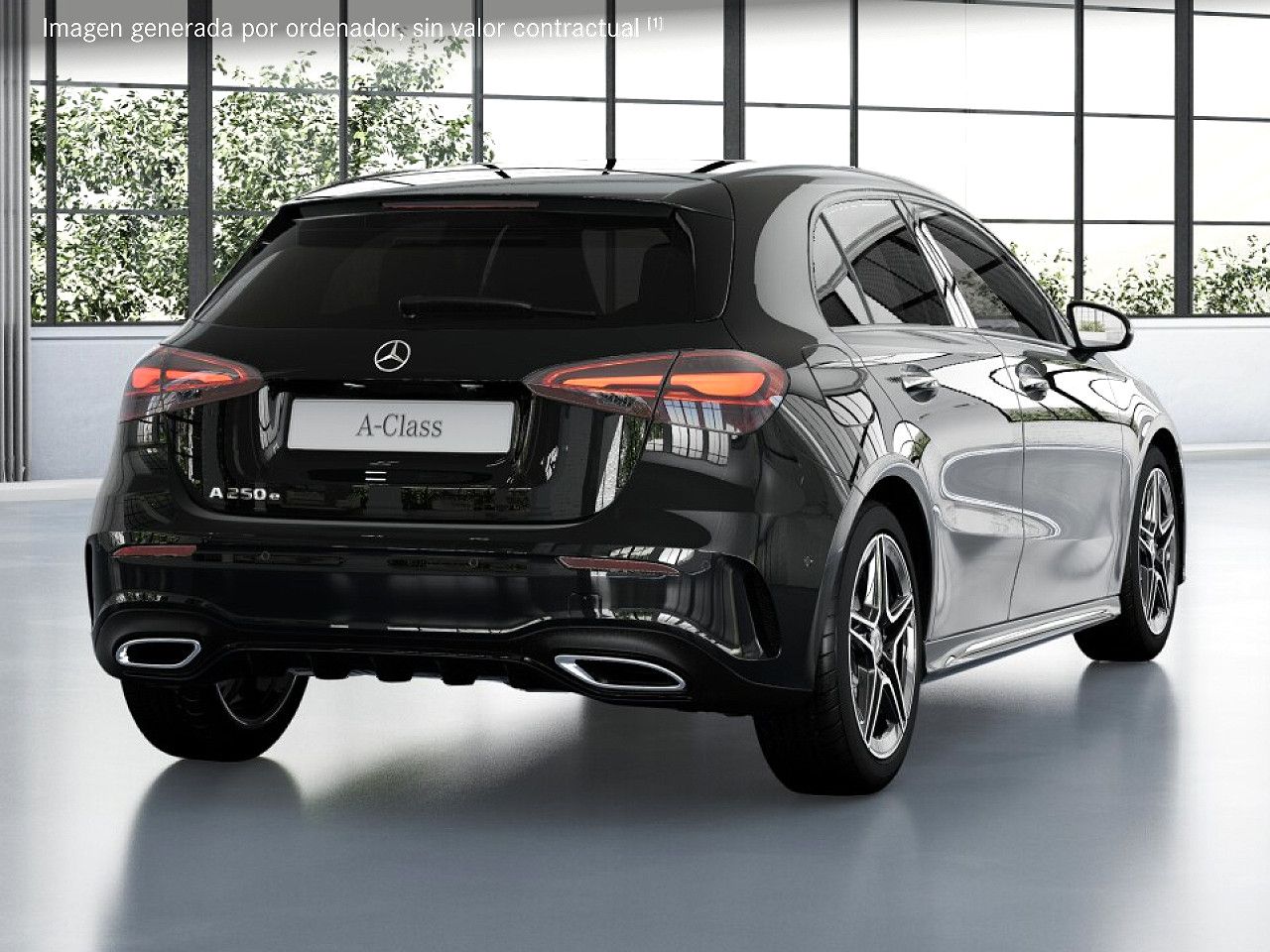 Foto de estudio 3 / 5