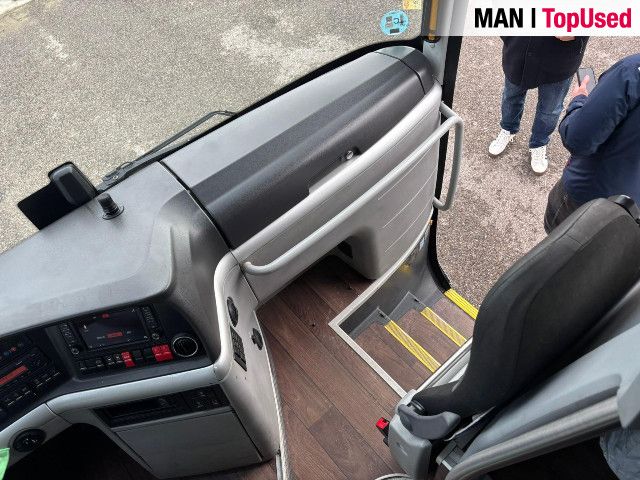 MAN LION'S COACH / R10 16
