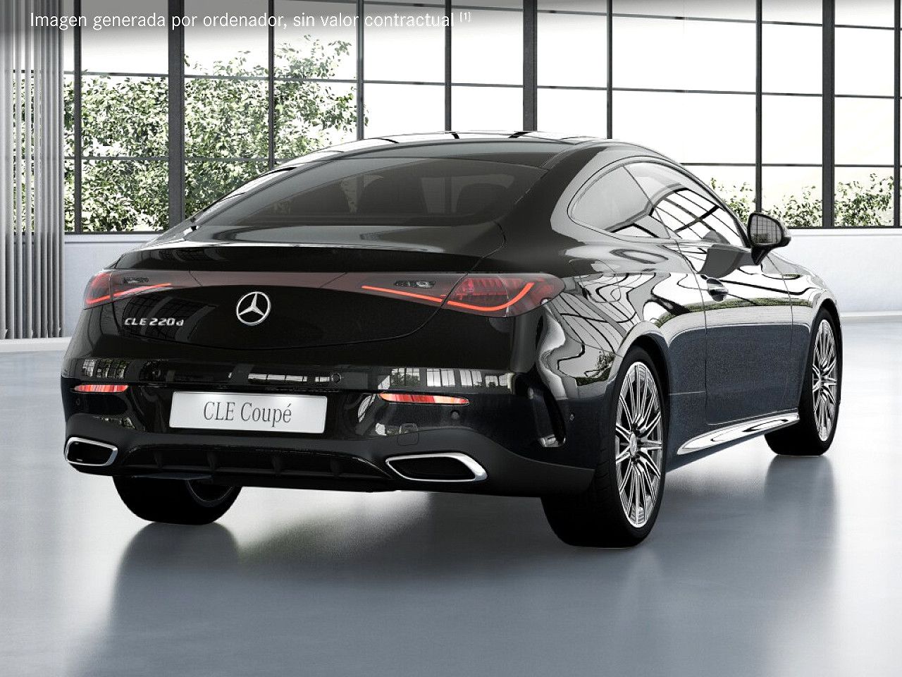 Foto de estudio 3 / 5