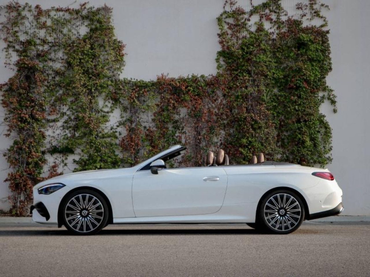 Photo du v&eacute;hicule 8 / 18