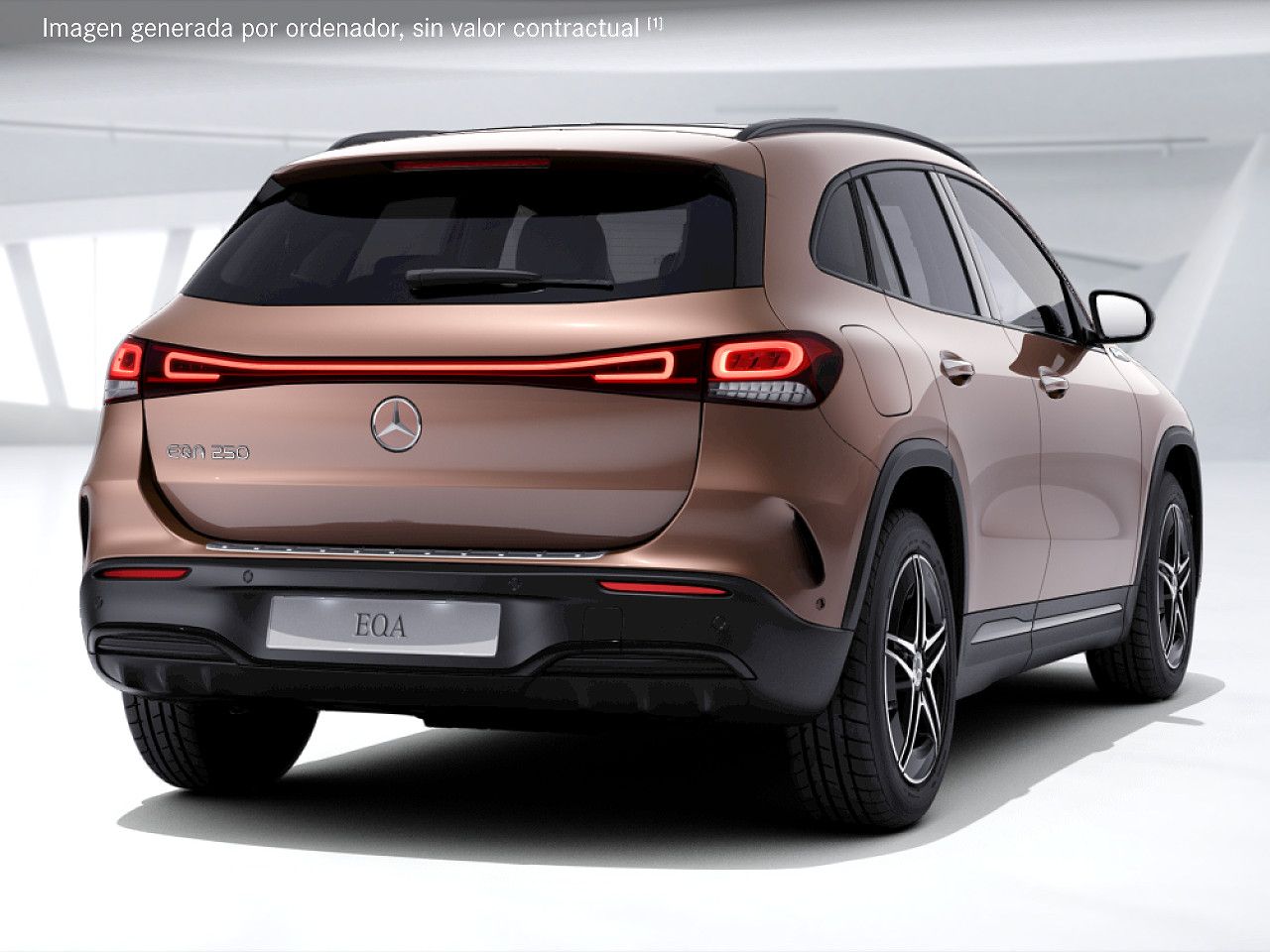 Foto de estudio 3 / 5