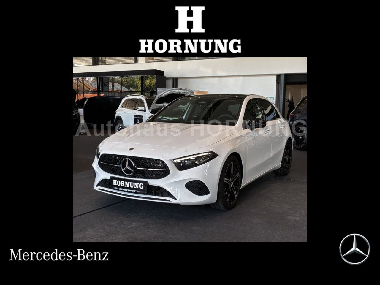 Fahrzeugbild 1 / 15