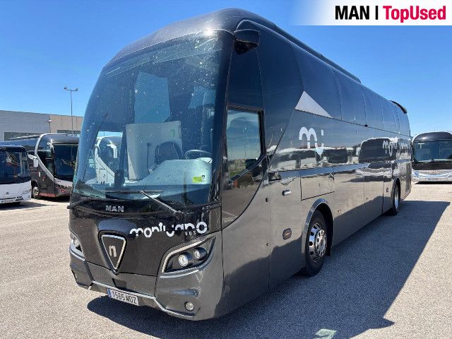 MAN Noge Titanium+ 3