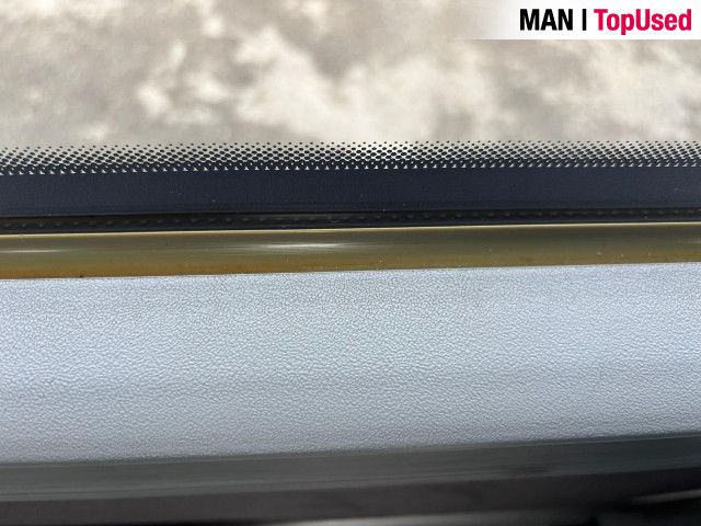 MAN LION'S COACH / R10 30