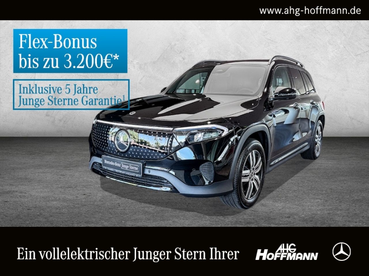 Fahrzeugbild 1 / 16