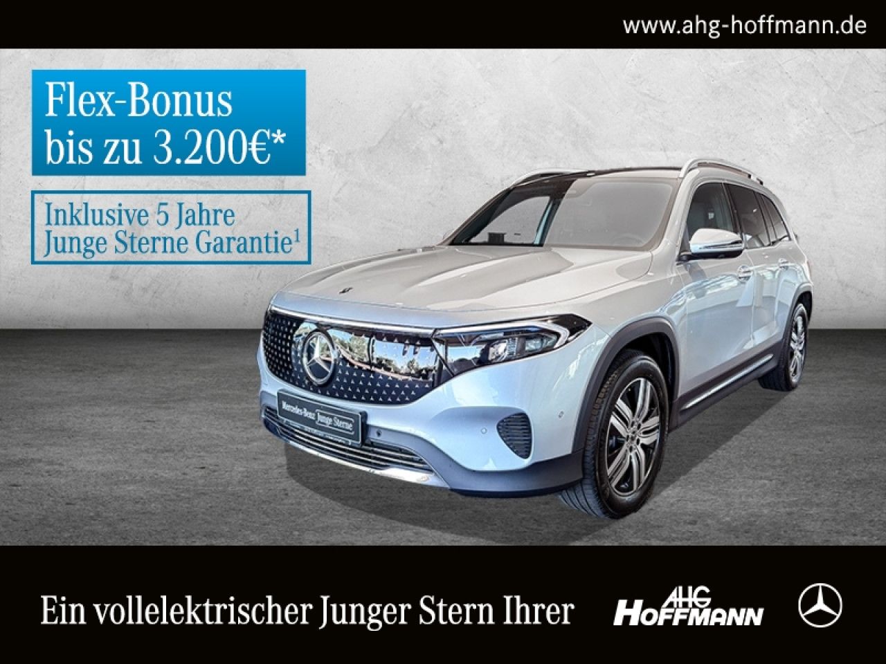 Fahrzeugbild 1 / 16