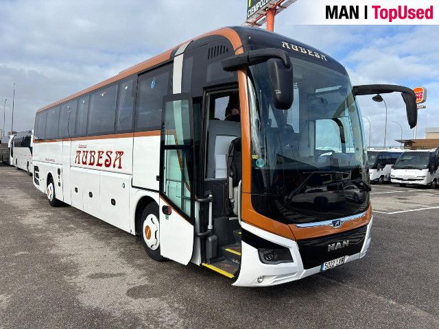 MAN LION'S COACH / R10
