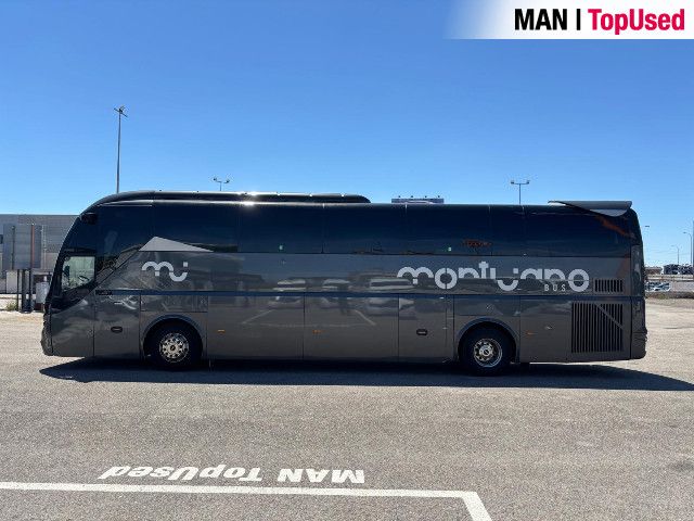 MAN Noge Titanium+ 4