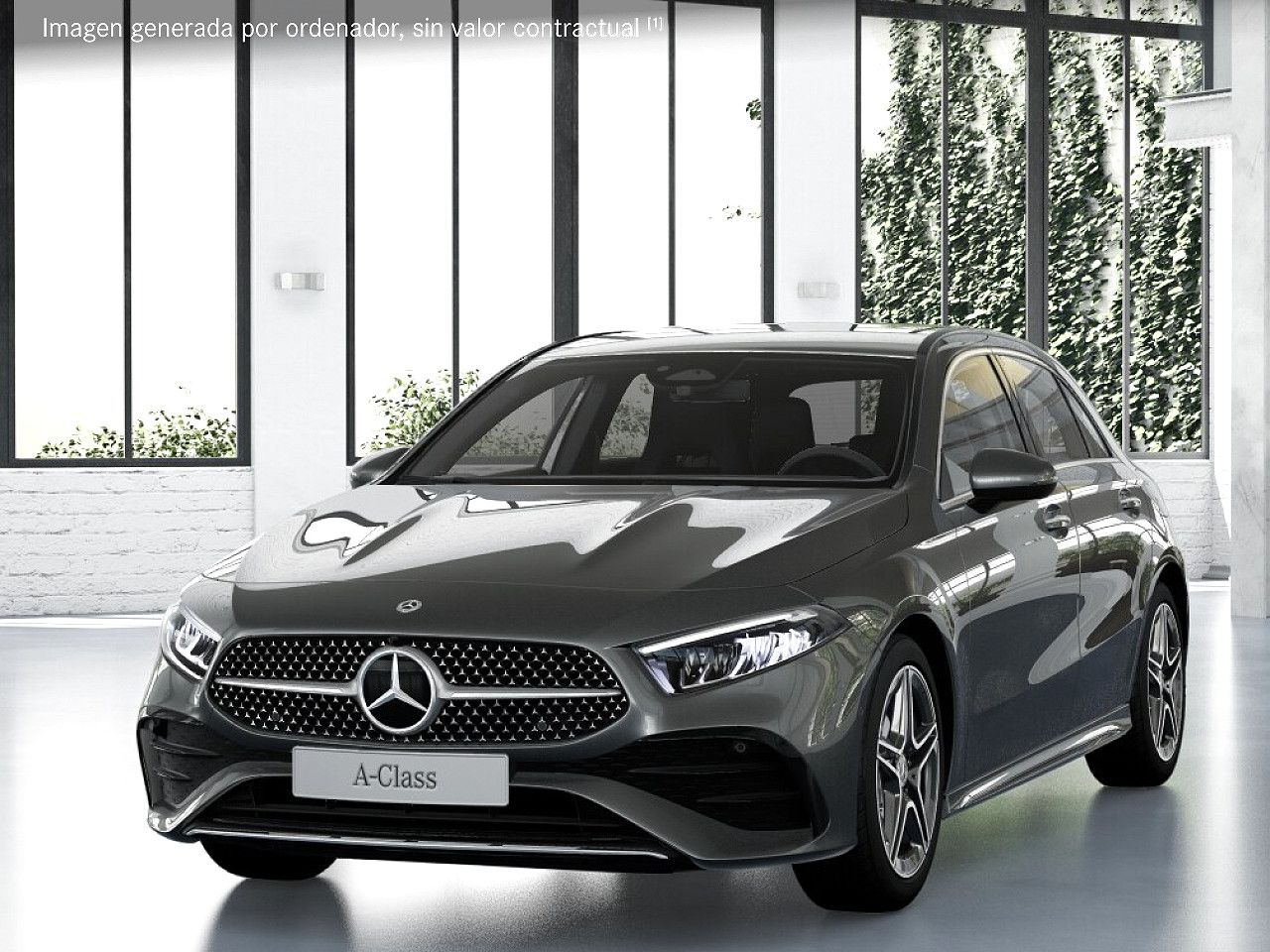 Foto de estudio 1 / 5