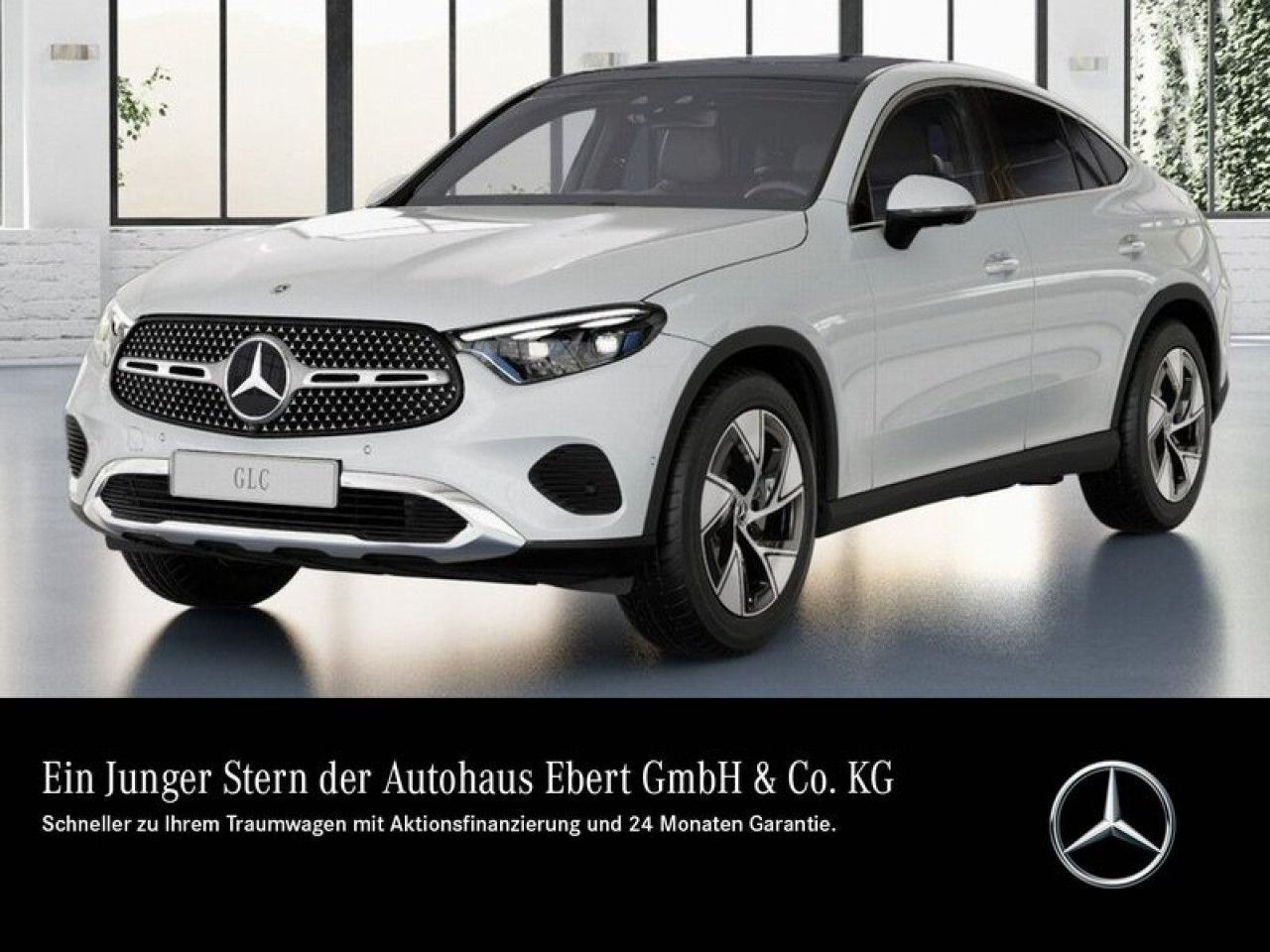 Fahrzeugbild 1 / 11