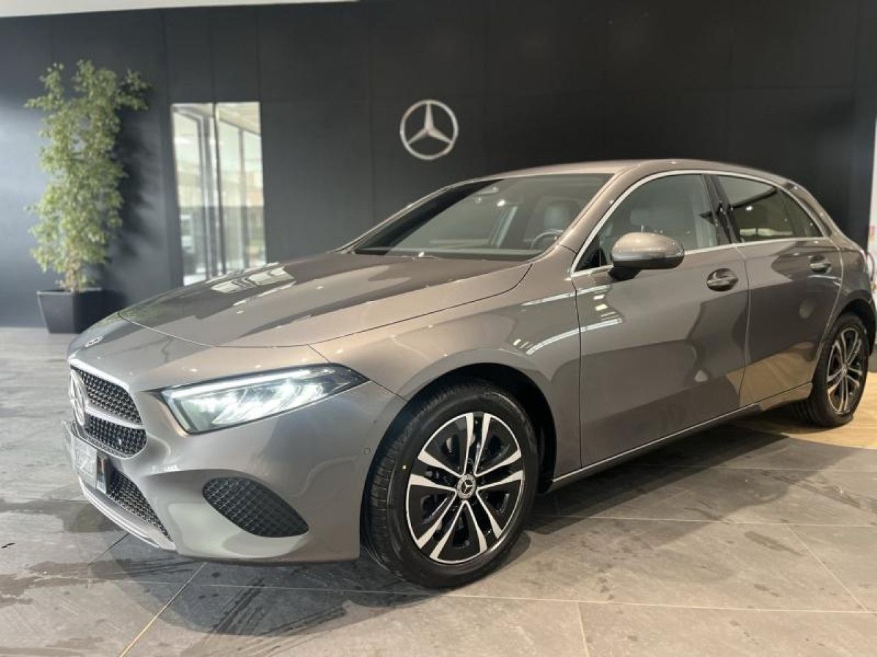 Photo du v&eacute;hicule 1 / 18