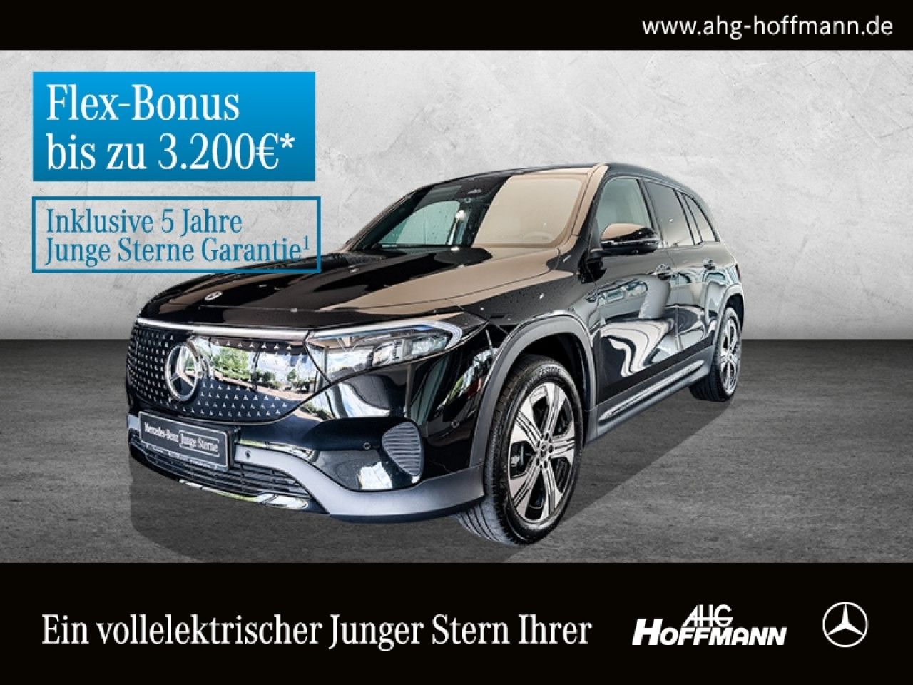 Fahrzeugbild 1 / 16