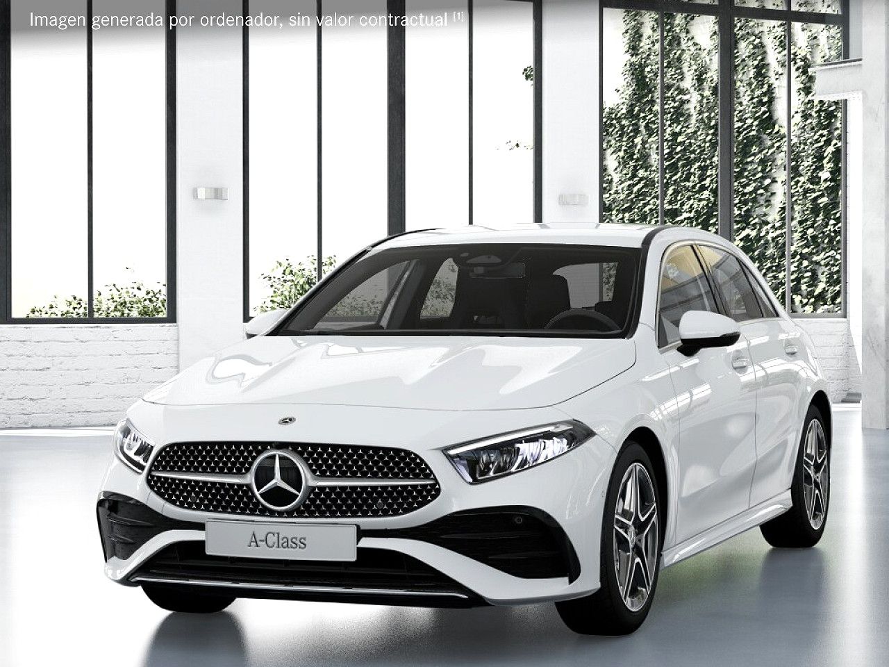 Foto de estudio 1 / 5