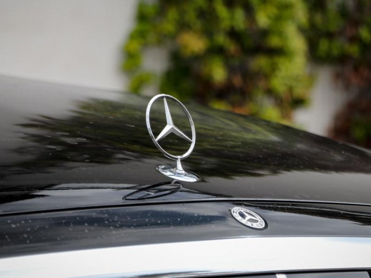 Photo du v&eacute;hicule 10 / 18