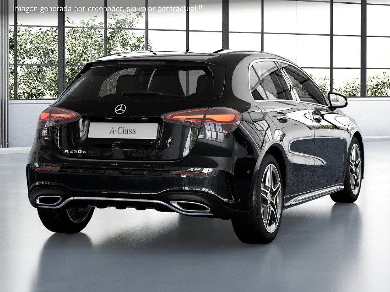 Foto de estudio 3 / 5