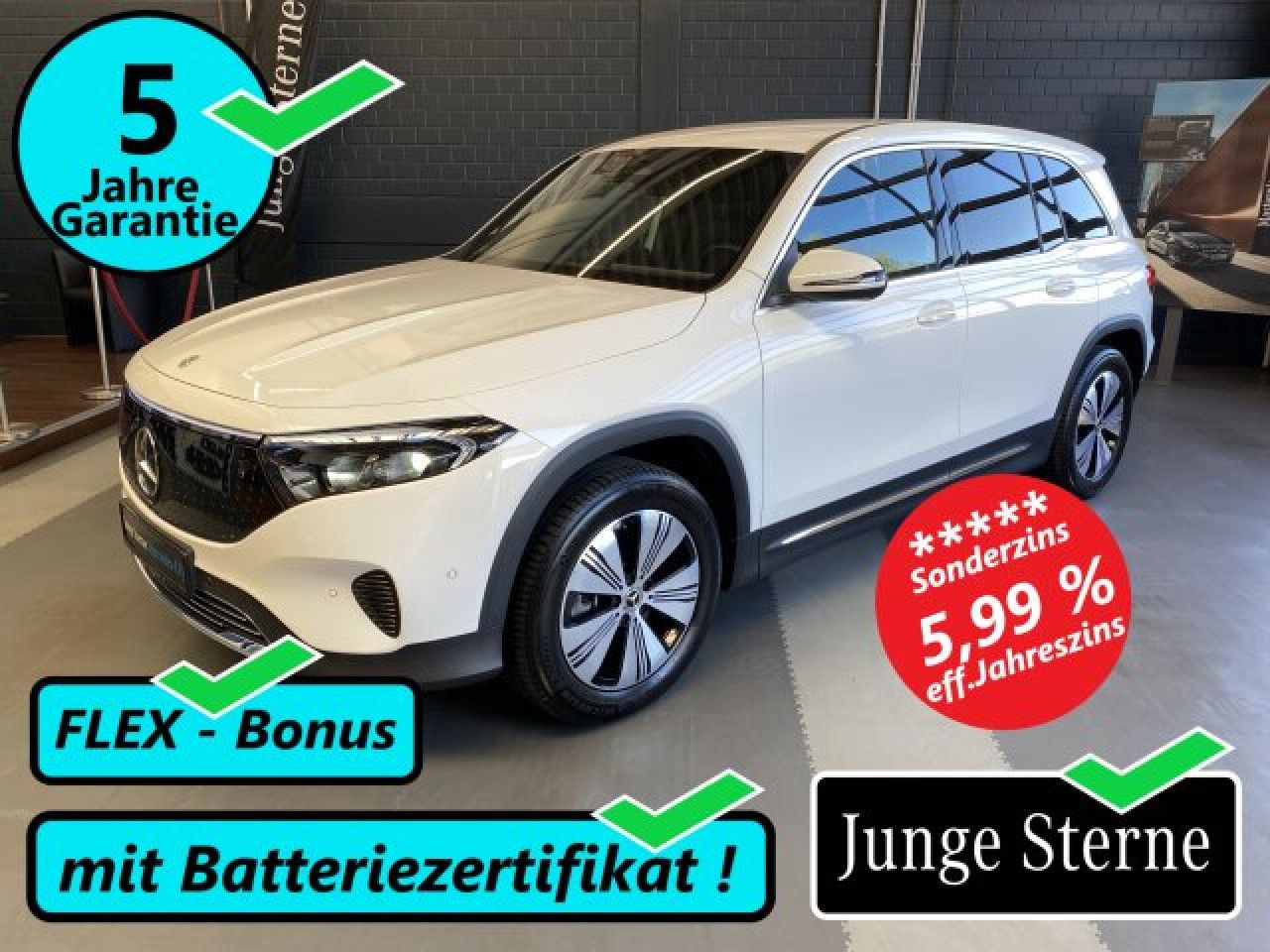 Fahrzeugbild 1 / 15