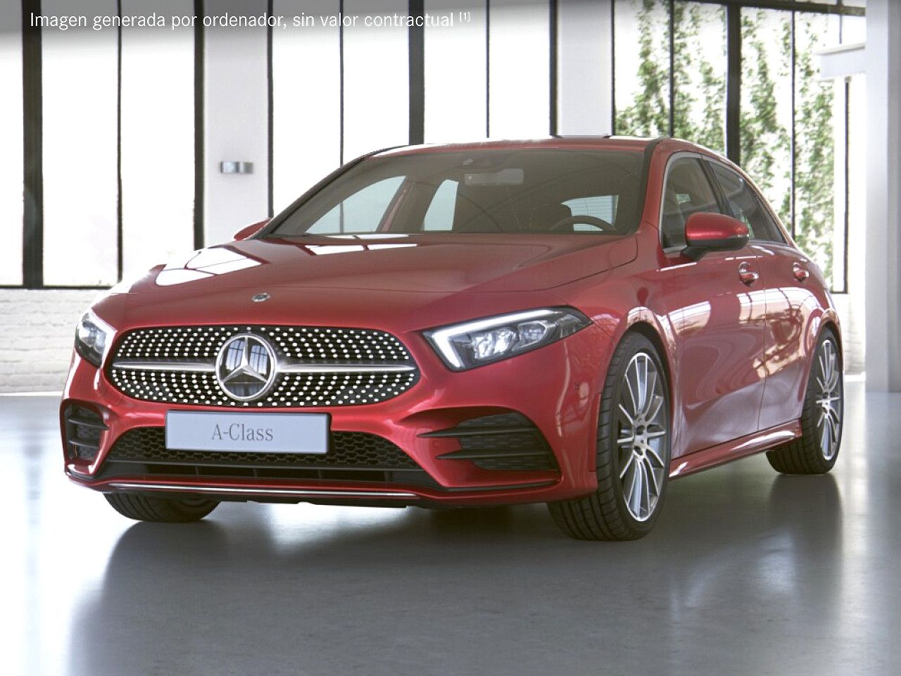 Foto de estudio 1 / 5