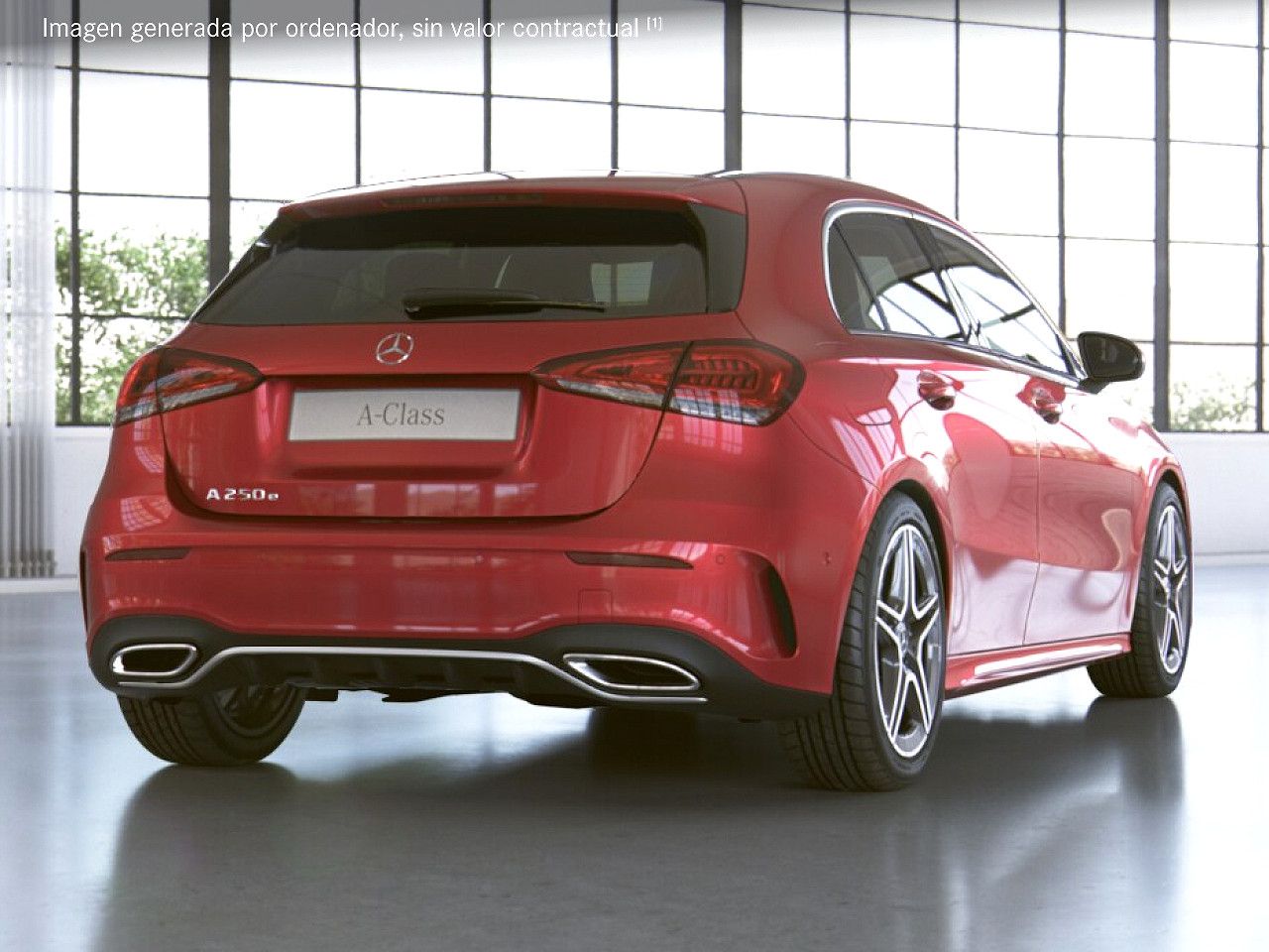 Foto de estudio 3 / 5