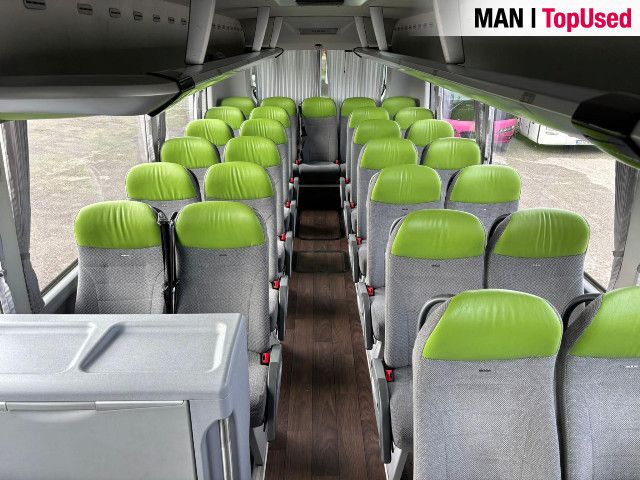 MAN LION'S COACH / R10 20