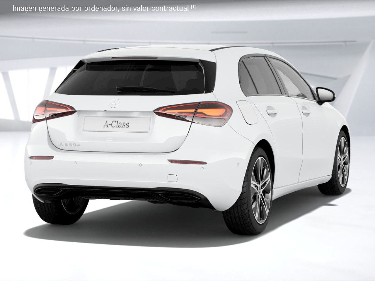 Foto de estudio 3 / 5