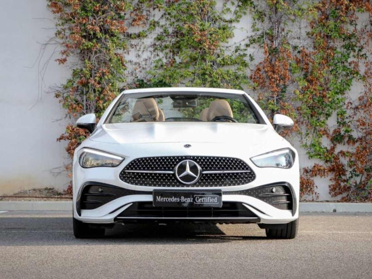 Photo du v&eacute;hicule 2 / 18