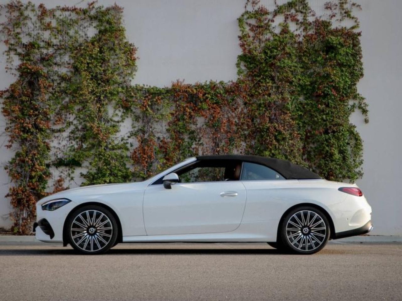 Photo du v&eacute;hicule 9 / 18