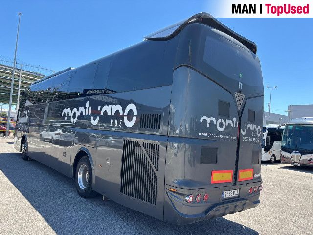 MAN Noge Titanium+ 5