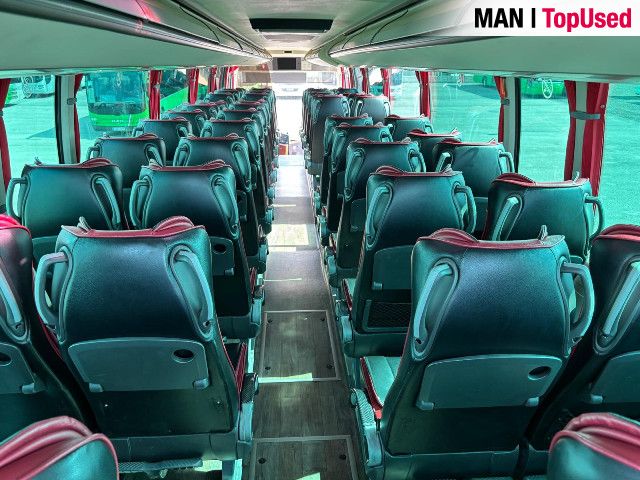 MAN Noge Titanium 23