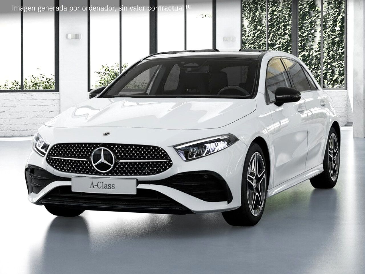 Foto de estudio 1 / 5