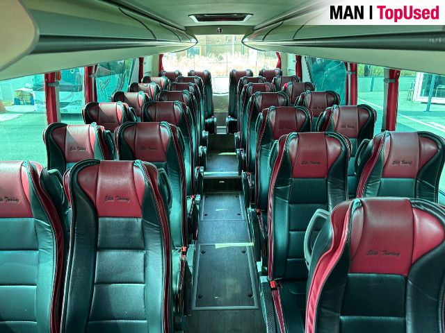 MAN Noge Titanium 19