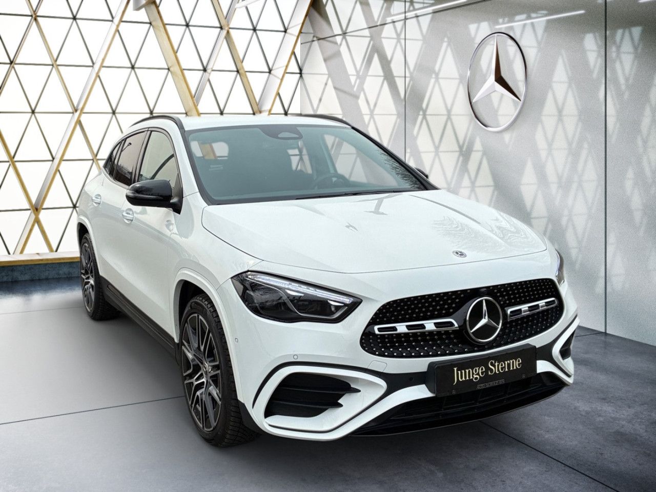 Fahrzeugbild 19 / 29