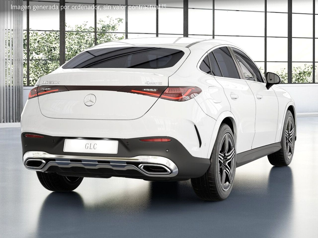 Foto de estudio 3 / 5