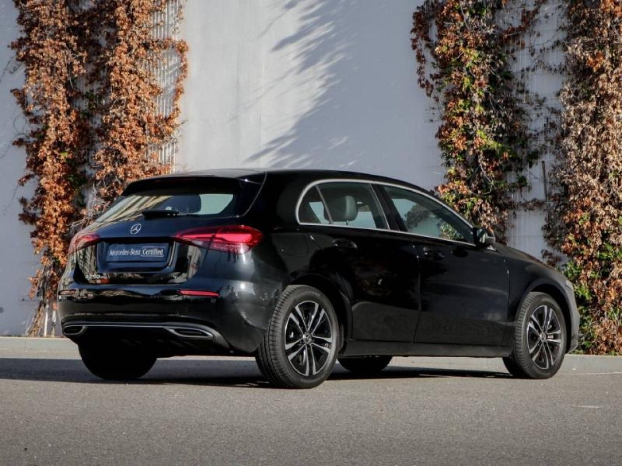 Photo du v&eacute;hicule 11 / 18