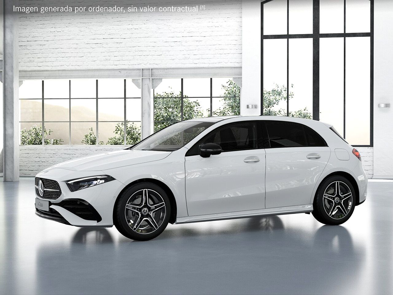 Foto de estudio 2 / 5