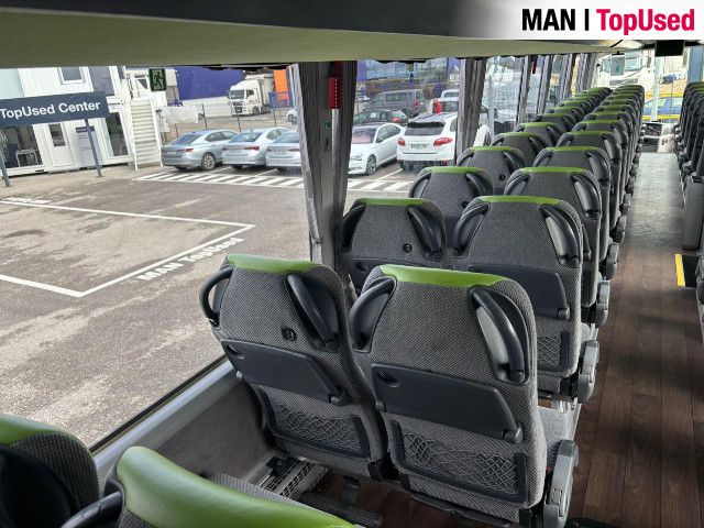 MAN LION'S COACH / R10 25