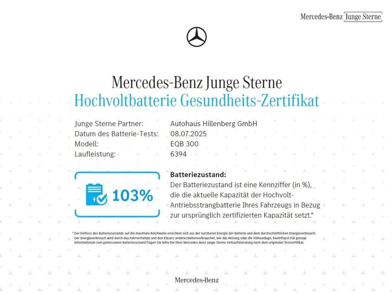 Fahrzeugbild 19 / 21