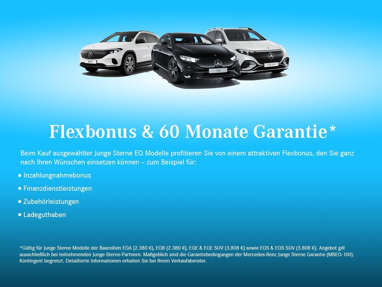 Fahrzeugbild 10 / 21