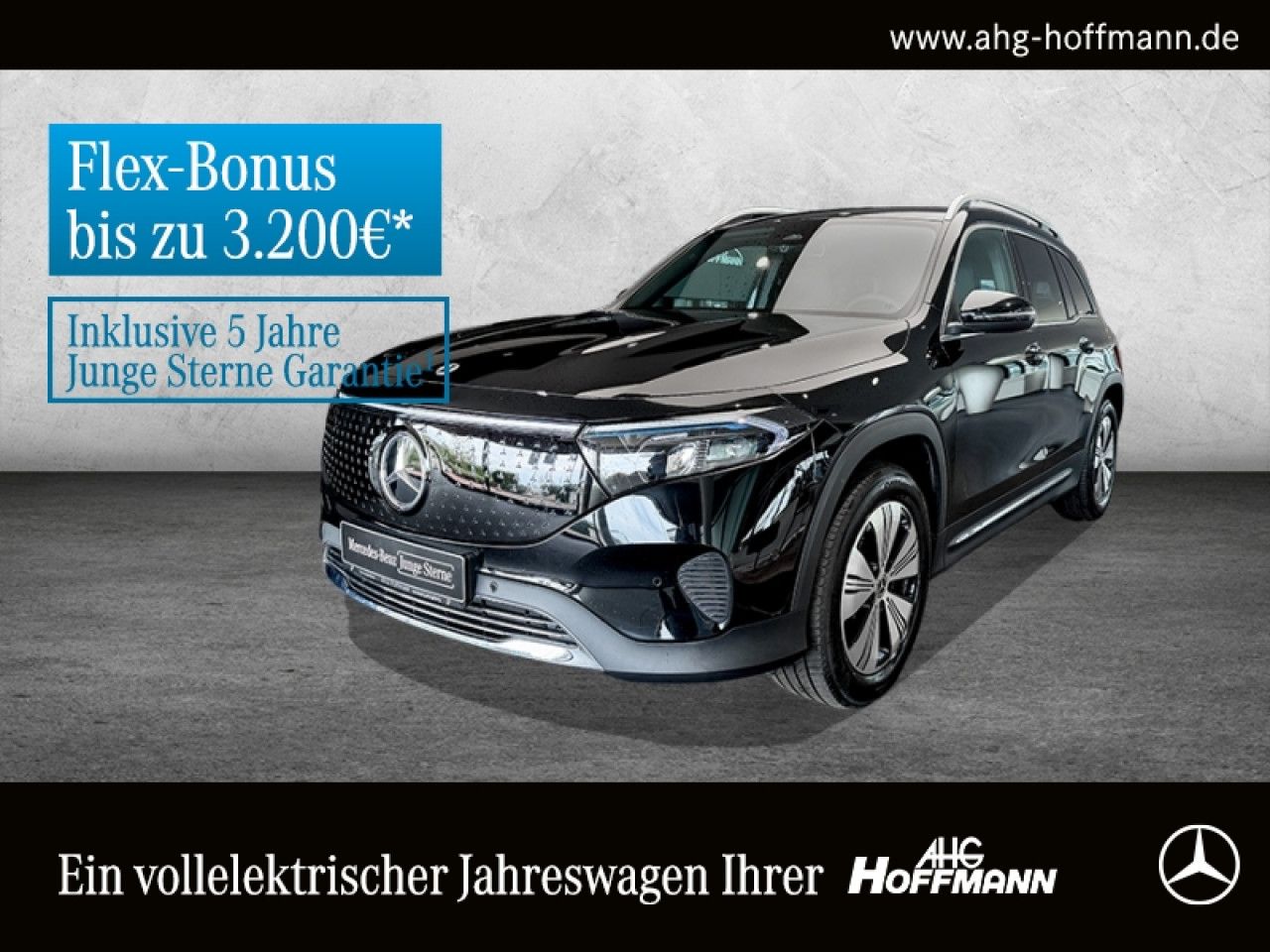 Fahrzeugbild 1 / 17