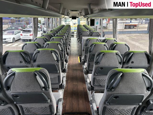 MAN LION'S COACH / R10 24