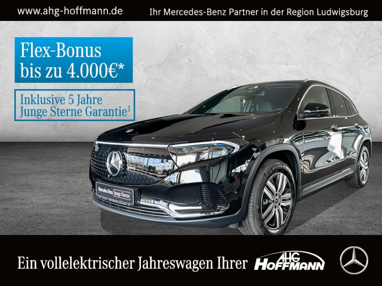Fahrzeugbild 1 / 14