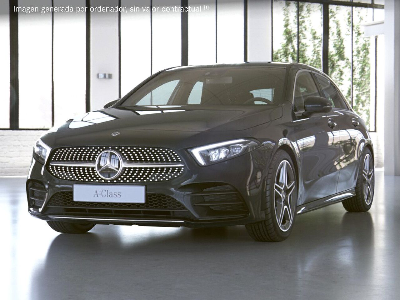 Foto de estudio 1 / 5