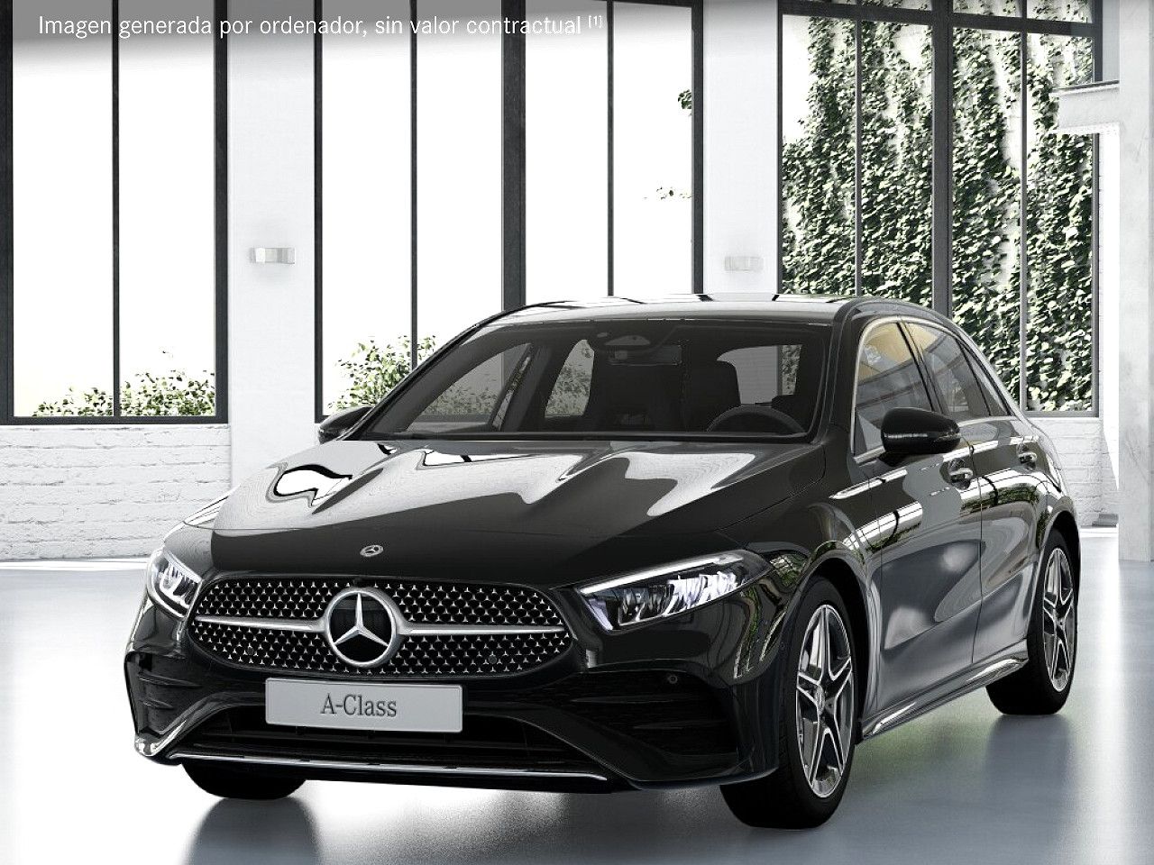 Foto de estudio 1 / 5