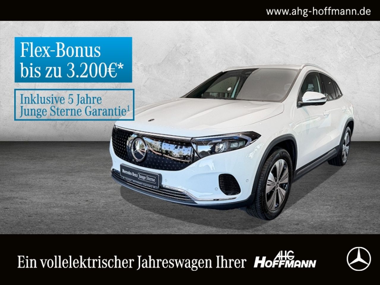 Fahrzeugbild 1 / 17