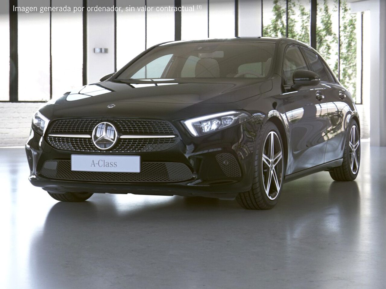 Foto de estudio 1 / 5