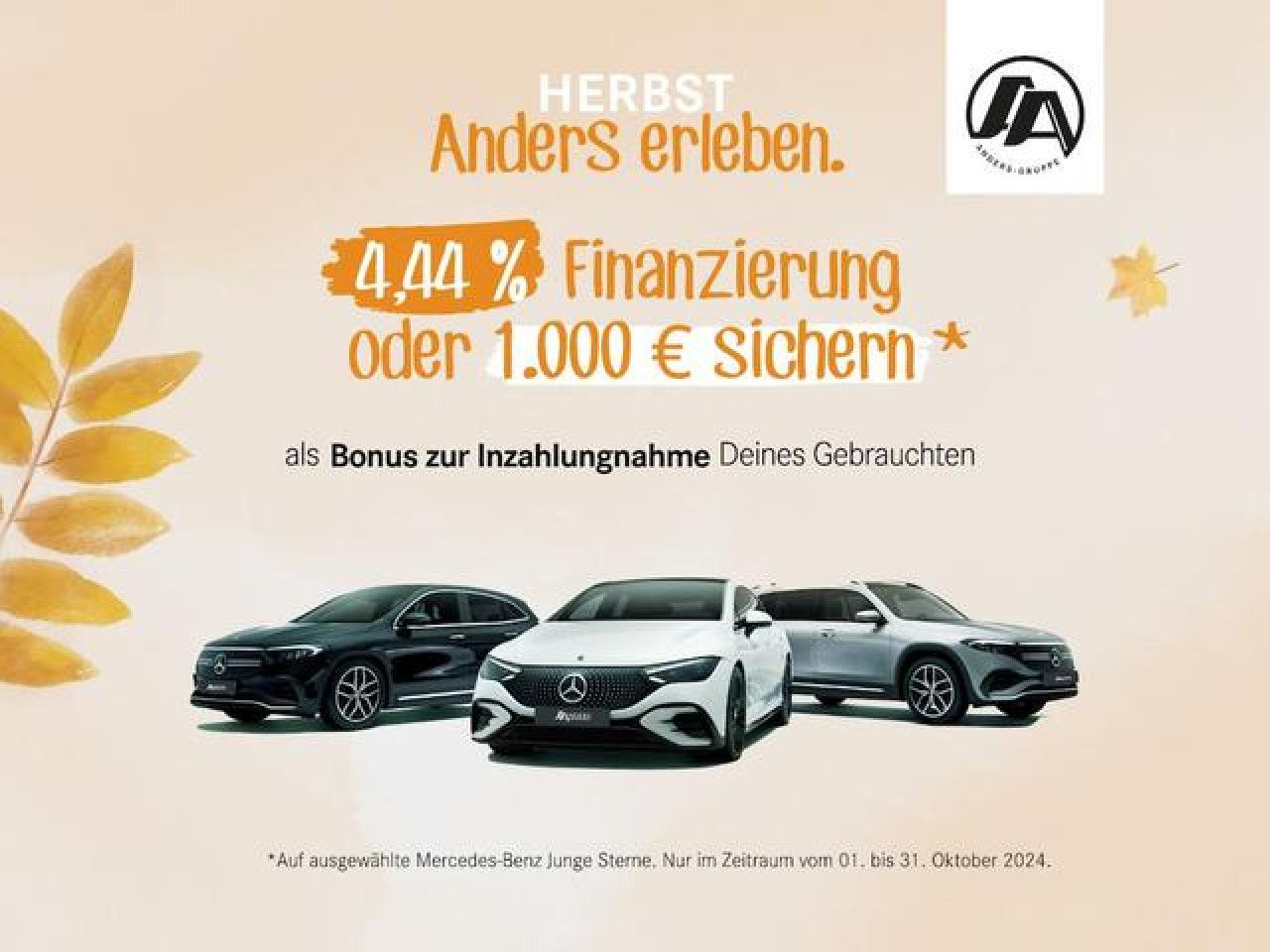 Fahrzeugbild 17 / 17